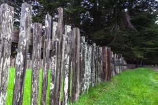 The Fence-6444.jpg The Fence-6444.jpg